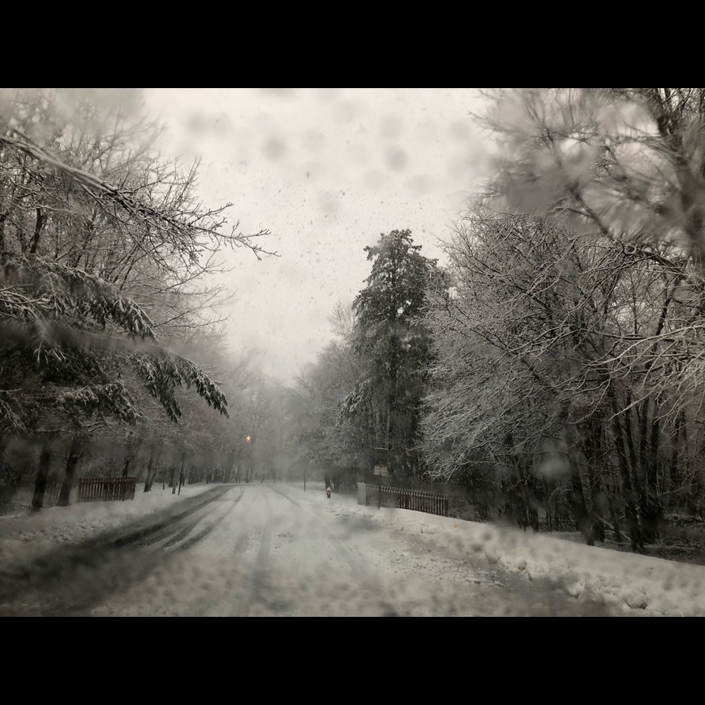 Meet your Posher, Liz